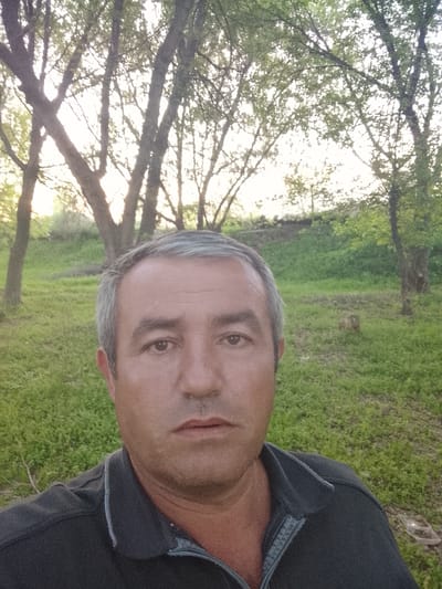 A middle-aged man with graying hair is the primary subject of the image. He is wearing a dark polo shirt. The background reveals a grassy field with scattered trees, suggesting a park or rural setting. The location is Syrdarya, Uzbekistan, based on contextual information. The lighting indicates it is either early morning or late afternoon. The man is facing the camera, possibly taking a selfie.