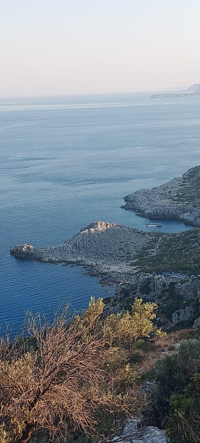 The image depicts a panoramic view of the Aegean Sea and the rugged coastline near Faliraki, Greece. In the foreground, a sun-drenched olive tree with dry, gnarled branches dominates the lower portion of the frame, casting long shadows. The sea, a deep blue with subtle ripples, stretches towards the horizon, meeting a hazy, pale sky.
The middle ground reveals a rocky promontory jutting into the sea. This promontory features a small, sandy beach with scattered rocks and a few indistinct figures, possibly beachgoers. Several boats, two white and one red, are anchored in the calm waters of a small cove adjacent to the promontory. Further along the coast, another rocky outcrop is visible, dotted with dense green shrubbery and a section of what appears to be a beach with numerous blue umbrellas. The coastline is characterized by steep, rocky cliffs covered in sparse vegetation. The overall impression is one of a serene coastal landscape bathed in the warm light of late afternoon or early morning.