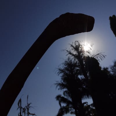 This image presents an outdoor scene captured against a bright sky in Estômbar e Parchal, Portugal. The primary subject is the dark silhouette of an object resembling a dinosaur's neck and head, positioned in the left foreground and extending upwards. The sun is visible as a distinct starburst in the mid-right background, partially obscured by the dark silhouettes of multiple trees, including palm trees. Additional indistinct plant silhouettes are present in the lower left. The sky exhibits a gradient from lighter near the sun to a darker blue further away. No individuals, specific actions, or interactions are observable.