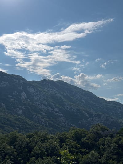 The image shows a sunlit mountain range covered in lush green vegetation. The sky is a clear blue, dotted with scattered white clouds. The mountains are steep and rugged, with rocky outcrops visible through the foliage. In the foreground, a dense forest of trees stretches across the lower part of the frame. The scene depicts a natural landscape, likely taken in a rural or mountainous area. The location is identified as Dragalj, Montenegro.