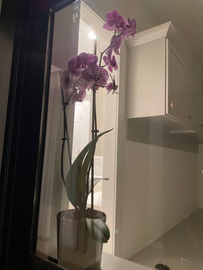 This is a nighttime, indoor photograph taken in East Hempfield Township, United States of America. The image features a potted orchid plant with purple and white speckled flowers, positioned in the foreground. The orchid is placed on a shelf or countertop. Behind the plant, a window reflects a dimly lit room with white cabinetry and what appears to be a light fixture. The left side of the image is dominated by a dark vertical object, possibly a door frame or a piece of furniture. The overall lighting is low, suggesting it is evening or night. There are no people visible in the scene.
