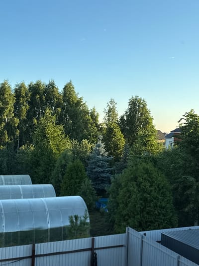 The image depicts a rural backyard scene in Malye Kabany, Russia. In the foreground, a light-colored corrugated metal fence runs horizontally across the frame, with two vertical wooden posts supporting it. Beyond the fence, three arched greenhouses, covered in translucent plastic, are arranged in a row, receding into the background. The greenhouses appear to be empty, with the green foliage of plants visible inside the closest one. Behind the greenhouses, a dense line of various evergreen trees and deciduous trees forms a natural backdrop. Further back, amidst the trees, parts of houses with visible rooftops and windows can be seen, suggesting a residential area bordering the property. The sky above is clear and blue, indicating daytime. The overall impression is one of a suburban or rural dwelling with a focus on gardening or cultivation.