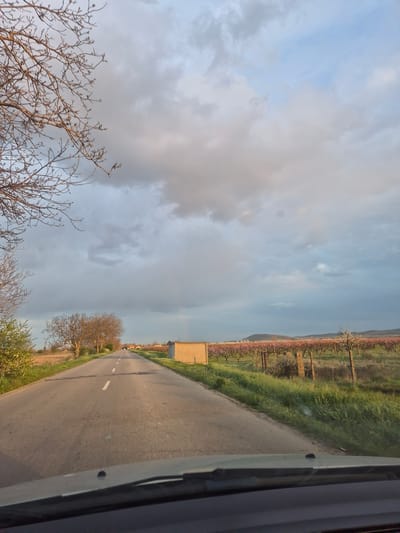 A roadside view shows a paved road with a white line running through the center. To the right of the road, there is a grassy area and beyond that, a row of trees with pink blossoms. To the left of the road, there are fields with sporadic bare trees. The sky is cloudy with patches of blue. The scene appears to be taken from a moving vehicle, evidenced by the vehicle's frame on the right. The setting is likely near Mechkarevo, Bulgaria, as indicated in the prompt. There are no people visible.