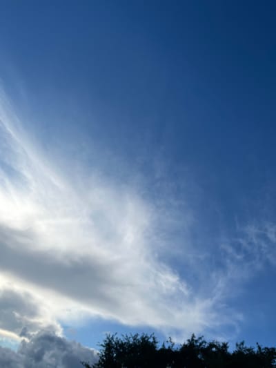 This image depicts a section of the sky above the town of Bašť, Czechia. The upper portion of the frame is dominated by a clear, deep blue sky. Lower in the frame, scattered wisps of white clouds are visible, some appearing thin and feathery, while others are denser and more textured, with hints of grey suggesting depth. In the far lower portion of the image, a dark silhouette of trees is present, marking the horizon line. The lighting indicates it is daytime, with the sun likely positioned out of frame, illuminating the clouds from above and to the left, creating a contrast between the bright white and darker grey cloud formations. There are no people or discernible structures visible in the image, focusing solely on the natural elements of the sky and a tree line.