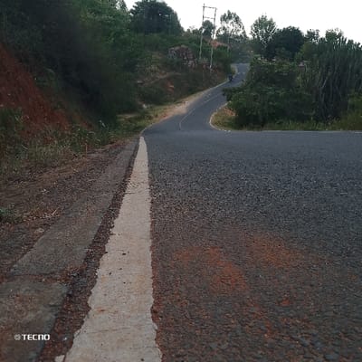 The image captures a winding asphalt road through a hilly, vegetated landscape, likely during either early morning or late afternoon. The perspective is low, looking forward and slightly uphill along the road.

The foreground is dominated by the dark gray asphalt road, textured with visible aggregate. A solid white line marks the right edge of the paved surface, separating it from a narrower concrete strip and a dirt shoulder on the far right (from the viewer's perspective). The dirt shoulder is reddish-brown and sparsely covered with dry grass and small plants.

To the immediate left of the road, a steep embankment of reddish-brown soil rises, covered in dark green bushes and trees that extend up the hillside. On the right side of the road, beyond the white line, various green trees and bushes grow, including a distinctive tall, segmented, cactus-like plant (possibly a euphorbia) standing prominently on the far right.

The road itself curves gently to the left as it ascends, then bends more sharply to the right further in the distance. A small, dark vehicle, possibly a motorcycle or scooter, is visible navigating this distant bend in the road. In the background, rolling hills covered with trees and some exposed rocky outcrops are visible. Overhead utility poles with wires can be seen further along the road, suggesting some level of infrastructure in the area.

The sky is bright but diffused, without direct sunlight or harsh shadows, contributing to the sense of dawn or dusk. The overall mood is peaceful and evokes a sense of journey or remoteness.

In the bottom left corner of the image, a white watermark reads "© TECNO".