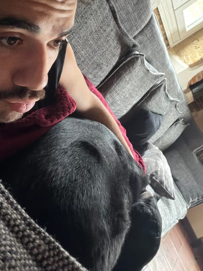An indoor scene in Mauléon-d'Armagnac, France, captures a male individual and a black dog. The male's profile, including his right eye, dark eyebrow, nose, mustache, and upper lip, is visible in the upper left quadrant. He wears a dark sleeveless top, with a red, textured fabric covering part of his chest and arm. A textured brown blanket is partially visible in the immediate foreground, covering portions of the male and the dog. Resting against the male's upper body is a black dog, its back and partially visible head exhibiting coarse black fur. One of the dog's ears is partially visible, pointing upwards. The male's gaze is directed downwards and to the right. In the background, a gray, multi-cushioned sofa with textured upholstery is prominent. A dark-colored cushion is on the sofa. A white-framed window is partially visible in the far right background, revealing a light-colored exterior element. The floor beneath the sofa consists of brown tiles.