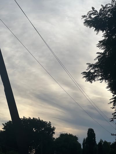 This is a vertical, low-angle shot of a cloudy sky at dusk, with trees and power lines silhouetted against the light. In the upper left corner, the dark silhouette of tree branches with compound leaves creates an arboreal frame. Two parallel power lines traverse diagonally from the bottom left towards the upper right. Another power line with a pole is visible in the upper right corner, extending downwards. The right side of the image is dominated by the dense, dark silhouette of trees, with a lighter, wispy cloud formation extending into the sky.
The sky is filled with soft, elongated clouds that appear to be illuminated from behind, suggesting either sunrise or sunset. The overall mood is tranquil and slightly somber due to the silhouettes and the muted light. No people are visible. The scene appears to be an outdoor setting, possibly a residential area or park, with trees and infrastructure suggesting a developed area. The presence of power lines and trees could be indicative of a suburban or semi-rural environment. The time of day is clearly evening or early morning, as indicated by the atmospheric lighting and the soft, diffused sky. No text is visible in the image.
