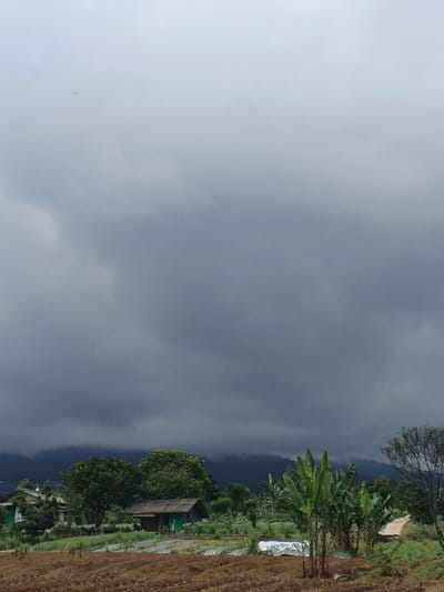 The image depicts an agricultural landscape under a heavily overcast sky in or near Đăk La, Vietnam. The upper two-thirds of the frame are filled with dense, dark grey cloud cover. In the mid-ground, a range of dark, forested mountains is visible, partially obscured by the low clouds. The foreground consists of a reddish-brown tilled field with discernible rows of small green plants. A white tarp or sheet lies on the ground in the middle-right of this field. To the left, a small, rustic wooden shack with a dark roof and a green door is situated amidst green foliage. Further left, a portion of a larger light-colored building with a darker roof is visible behind trees. Multiple green trees, including a cluster of prominent banana trees with large leaves on the right, populate the mid-ground. A light-colored dirt path ascends into the frame from the right side, behind the banana trees. No individuals or animals are present in the scene.