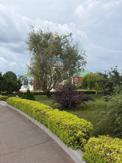 The image shows a scenic view of a religious complex in Norya, Russia, on a cloudy day. In the foreground, a paved walkway with cracks runs along the left side, bordered by a neatly trimmed, bright green hedge adorned with small pink flowers. Beyond the hedge is a well-maintained lawn.

Dominating the mid-ground is a mature tree with sparse foliage, positioned in front of a building complex. The complex features a white building with colorful religious iconography on its facade and a bright blue dome topped with a golden cross. To the right of this, a separate building with a red facade and a green roof is visible. A dark, bushy shrub with deep purple leaves stands to the right of the central tree.

The background is a cloudy sky, with a hint of a bird in flight visible on the upper right. The overall impression is one of tranquility and natural beauty, with the architectural elements of the religious site harmonizing with the surrounding greenery.