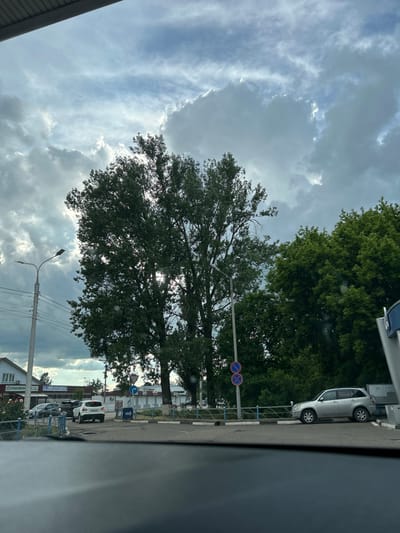 The image, likely taken from inside a vehicle, shows a street scene in Novobeisugskaya, Russia. A large tree dominates the mid-ground, obscuring parts of the street and buildings behind it. Overcast skies with broken clouds fill the upper portion of the frame. Street signs, including a "no stopping" sign, are visible near a light grey car parked on the side of the road. Other vehicles are parked further down the street near buildings. Utility poles with power lines run parallel to the street. The overall impression is of a cloudy day in a small Russian town.
