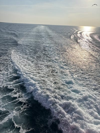 The image presents an open sea environment in the waters near Kamariotissa, Greece, observed from the stern of a moving vessel. A prominent, wide wake of turbulent white foam and agitated dark blue-green water extends from the foreground toward the distant horizon. A significant foamy wave is visible cresting within the immediate wake. Sunlight reflects off the water's surface in the upper right quadrant, creating a bright, shimmering path. The sky above is a clear, light blue with minimal atmospheric haze. A single dark-silhouetted avian subject, consistent with a seagull, is captured in flight in the upper right portion of the sky. No other human figures, landforms, or identifiable structures are present.