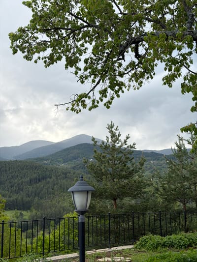 The image captures a mountainous landscape under an overcast sky, likely taken near Кирково, Bulgaria, given the setting. The foreground features a leafy tree branch to the left, partially obscuring the sky. In the midground, a mountain range covered in dense coniferous forest stretches across the frame. A black metal fence with a lamp post runs along the right side of the image, suggesting a pathway or overlook. The overall environment evokes a sense of tranquility and natural beauty.