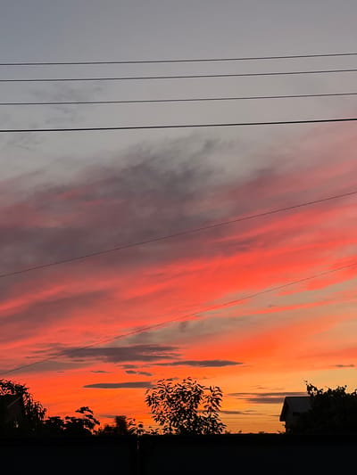 The image captures a vibrant sunset over Kulishi, Ukraine. The sky is ablaze with fiery oranges and pinks, painted across streaky clouds. In the foreground, four dark power lines stretch diagonally across the frame from left to right, creating a stark contrast against the colorful sky. To the right, silhouetted trees and a portion of a building are visible against the glowing horizon. The overall impression is one of a dramatic and beautiful natural spectacle, possibly observed at dusk. There is no visible text in the image.