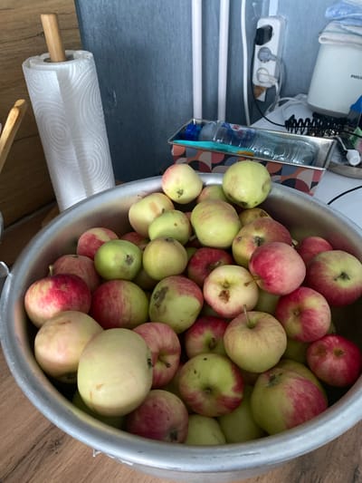 A close-up, eye-level, indoor shot shows a large, metallic bowl overflowing with apples. The apples are a mix of green and red, with some showing more red blush than others. The bowl is placed on a wooden surface, possibly a table. In the background, a roll of paper towels on a wooden dowel is visible, as is a wall with vertical elements. A metal container with a patterned design holds a plastic bottle of water and some other objects. Electrical outlets and a white appliance, possibly a kettle, are also present in the background. The lighting suggests an indoor setting, with a light source from above or the right. There are no people or animals visible in the image. The location is not specified in the image.