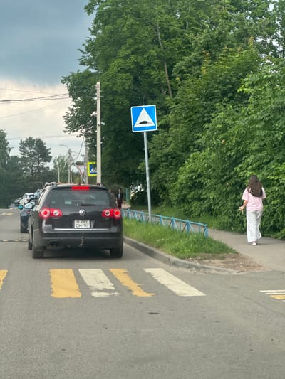 In Kuzmolovskiy, Russia, a medium-shot vertically oriented photo captures a street scene with pedestrians, vehicles, and natural elements under a cloudy sky, suggesting overcast weather.
The primary subjects are two people and several cars. A young woman with long, dark hair is seen walking on a sidewalk, wearing a pink t-shirt and light-colored pants. She appears to be holding a yellow object in her hand. Further down the street, a black Volkswagen Passat is parked, its brake lights illuminated. Behind it, other vehicles are visible, lined up on the road.
The setting is an urban street with a pedestrian crossing marked by yellow and white stripes on the asphalt. A blue and white traffic sign, indicating a pedestrian crossing, is prominently displayed on a pole. To the left of the road, a dense line of green trees provides a natural backdrop. A low blue fence runs alongside the sidewalk, bordering a grassy area. Overhead power lines are also visible.
The image appears to be taken during the daytime, but the overcast sky suggests it might be late afternoon or early morning, or simply a cloudy day. There are no strong shadows. The overall mood is neutral, depicting an everyday street scene.
Visible text includes the license plate of the Volkswagen, which reads "B 791 CM 147". The traffic sign is a standard international symbol for a pedestrian crossing.