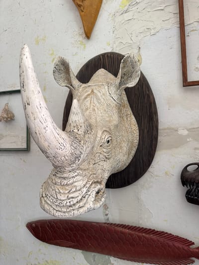The image shows a close-up of a wall adorned with various decorative items, including a mounted rhinoceros head, a wooden fish carving, and what appears to be a dinosaur skull fragment. The wall itself has a textured, distressed finish with patches of peeling paint. The rhinoceros head is the primary subject, rendered in a light, aged color with black markings and a prominent horn. It is mounted on a dark wooden plaque. To the lower right, a detailed, reddish-brown wooden carving of a fish is visible, its scales meticulously carved. To the upper right, a dark wooden frame is partially visible, and below that, the jagged teeth of a dark-colored dinosaur skull are seen. A small, framed object containing a shell-like item is visible on the left. The overall impression is of a decorative display, possibly in a home or a museum setting. The context provided about Kolomyia, Ukraine, suggests this is a localized view of a specific place within that city.
