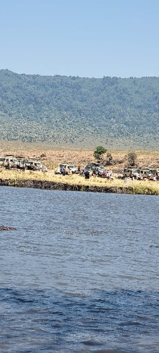 The image depicts a natural landscape scene in Ilturot Lorkereyan, Tanzania. A substantial body of water, exhibiting surface ripples, occupies the foreground. At least three hippopotami are visible, partially submerged on the left side of the water. Above the water, a dry, golden-brown grassy bank extends across the midground. Approximately 10-15 light-colored safari-style 4x4 vehicles, each equipped with a roof rack, are parked in a line along this bank. A group of roughly 15-20 people are gathered near these vehicles and the water's edge, appearing to observe the aquatic area. A small, isolated tree is present behind the parked vehicles. The background consists of a large, distant hill or mountain, densely covered with green vegetation. A clear, light blue sky is visible above the horizon.