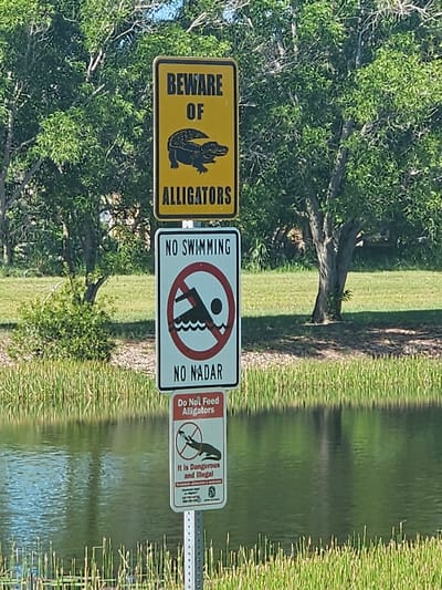 A series of three rectangular signs are mounted on a metal pole at the edge of a body of water. The top sign is yellow with black text and a black silhouette of an alligator, reading "BEWARE OF ALLIGATORS". The middle sign is white with black text and a red circle with a diagonal line through a silhouette of a swimmer, reading "NO SWIMMING NO NADAR". The bottom sign is red and white with black text and a red circle with a diagonal line through a silhouette of an alligator, reading "Do Not Feed Alligators It Is Dangerous and Illegal". The signs are positioned in front of a natural environment with green trees, grass, and a calm body of water. This scene is located in Port Saint Lucie, United States of America.