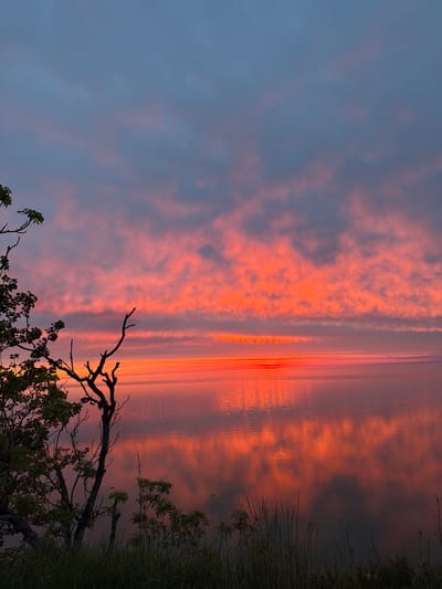 This image depicts a serene natural landscape at dusk in Vääna-Jõesuu, Estonia. The sky is a gradient of colors, transitioning from a deep blue at the top to vibrant shades of orange and red as it nears the horizon, illuminated by the setting sun. Wispy clouds are scattered across the sky, catching the light and reflecting the fiery hues of the sunset.

The horizon line is clearly defined, separating the sky from a vast body of calm water, likely the Baltic Sea, given the location. The water mirrors the colorful sky, creating a shimmering reflection that adds depth and beauty to the scene. Subtle ripples on the water's surface suggest a gentle breeze.

In the foreground, to the left and extending slightly into the frame, are the silhouettes of trees. The branches are bare, indicating it may be late spring or early autumn, or simply a species with less dense foliage. The leaves of one tree are a deep green, contrasting with the muted tones of the sky and water. In the lower right corner, tall grasses and other low-lying vegetation are visible, forming a natural border to the scene. The overall impression is one of tranquility and natural beauty, characteristic of the coastal environment of Vääna-Jõesuu. No people are visible in the image.