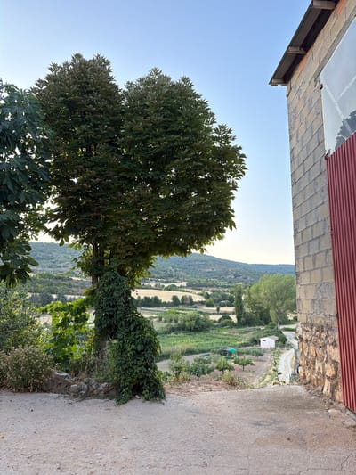The image shows a rural landscape in Salmerón, Spain, on a clear day with a light blue sky. In the foreground, a dirt path leads down a gentle slope. To the right, a building constructed of cinder blocks and stone is visible, with a section of corrugated red metal siding. A large tree with dense green foliage stands prominently in the mid-ground, with ivy climbing its trunk. Beyond the tree, a valley unfolds with fields, crops, a small white building, and scattered trees. The background consists of rolling hills covered in vegetation. The overall scene conveys a sense of rural tranquility.