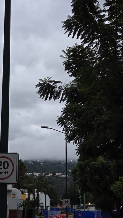 This is a photograph taken in the city of La Tijera, Mexico, on a cloudy day. The foreground is dominated by a dark, thick tree on the right side, with delicate fronds of another tree extending from the top left. A dark green pole stands vertically on the far left. In the middle ground, a street lamp with a curved arm is visible against the overcast sky, and further back, a hill is covered in houses partially obscured by mist. In the lower portion of the image, a speed limit sign indicating "20 Km/H" is prominently displayed on a white background with a red circle. Adjacent to this sign, the corner of a white building is visible. Beyond the building, construction barriers with orange cones and blue fencing line an area that appears to be under development. The overall atmosphere is somber and diffused due to the cloudy conditions.
