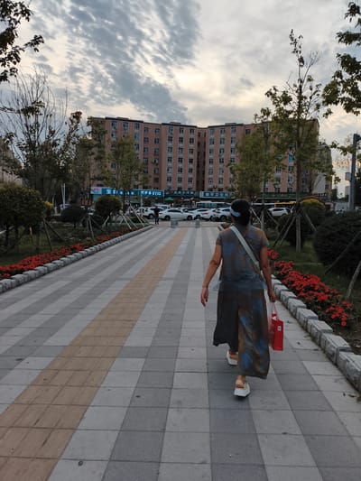 The image shows a woman walking away from the camera on a tiled sidewalk in Jixi, China. She is wearing a patterned dress, sandals, and has a blue headband. She is carrying a red shopping bag. The sidewalk is lined with red flowers and is bordered by a stone curb. In the background, there is a large, multi-story apartment building and several cars parked along the street. Trees with autumn foliage are also visible. The sky is overcast with dramatic clouds. The overall scene suggests an urban environment during the day.