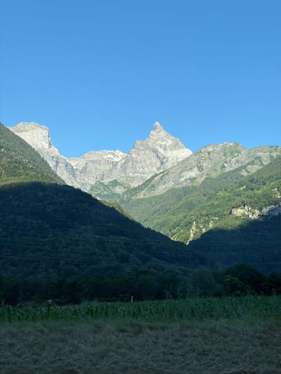 This is a vertical, wide-angle photograph of a mountainous landscape under a clear blue sky. The image is dominated by a sharp, jagged mountain peak on the left, with slopes covered in dense green forest that gradually gives way to rocky terrain higher up. A distinct shadow line cuts across the mountain, dividing sunlit areas from shaded ones, suggesting a mid-morning or late afternoon time of day.
To the right of the mountain, the terrain transitions into a field of tall, dry grass that appears somewhat windswept. A subtle line of darker green vegetation runs along the edge of the grassy field, potentially a hedgerow or a line of trees. The overall scene evokes a sense of natural grandeur and serenity. The location is Saint-Maurice, Switzerland. No people or text are visible in the image.