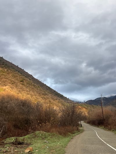 The image depicts a mountainous rural landscape near Gudemnis, Armenia. The sky is largely overcast with stratocumulus clouds, presenting a grey tone, though direct sunlight illuminates sections of the terrain from the left. A two-lane paved road, marked with a solid white fog line on its right edge, curves leftward and recedes into the distance from the lower right quadrant of the frame. To the immediate left of the road, the foreground consists of green grass, soil, and scattered rocks. Further left, a steep hillside covered with sparse, mostly bare deciduous trees and brown brush is brightly lit by golden sunlight. Along the right side of the road, dense, bare brown bushes and trees line the shoulder. In the middle ground and background, additional mountain ranges are visible, with snow-covered peaks partially obscured by darker cloud banks. A tall, brown-colored metal electricity pylon stands on the right side of the road in the mid-ground, supporting multiple power lines that traverse horizontally across the mid-ground. No individuals, vehicles, or animals are present in the scene.