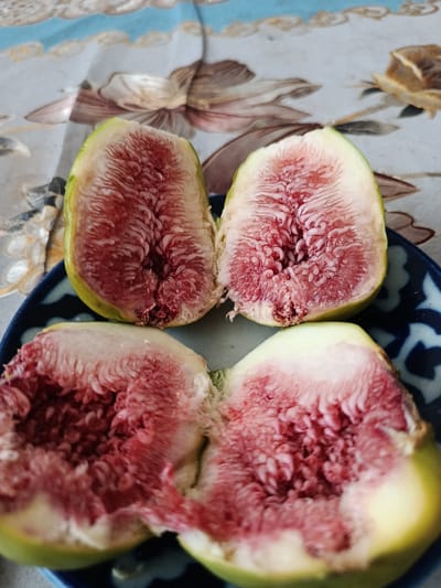 The image shows four halves of ripe figs placed on a plate. The figs are sliced lengthwise, revealing their juicy, red interior filled with tiny seeds. The skin of the figs is a light green color, transitioning to a creamy white near the flesh. The plate itself is dark blue with a white, intricate pattern, typical of traditional Uzbek ceramics.

The figs are arranged in a way that suggests they are about to be eaten or have just been prepared. They rest on a surface that appears to be a tablecloth with a floral pattern, featuring muted blues, browns, and creams. The lighting suggests it is daytime, likely indoors, given the soft illumination and lack of harsh shadows.

The scene evokes a sense of simple domesticity and the enjoyment of fresh produce. There are no people visible in the frame, focusing the attention solely on the figs and the presentation. The location context of Shahrisabz City, Uzbekistan, hints at a potential cultural backdrop for the meal or setting, where figs are a common and appreciated fruit. The overall mood is tranquil and inviting, highlighting the natural beauty and texture of the fruit. There is no visible text in the image.