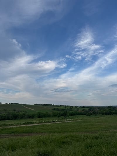 The image depicts a rural scene in Gradets, Bulgaria. The sky, occupying the left and upper portion of the frame, is blue with scattered cirrus clouds. A field of green grass, possibly a vineyard or pasture, is on the right side. The ground is uneven, with possible pathways. The vegetation is lush. In the mid-ground, there are some trees and shrubs. The horizon is visible. The image is rotated 90 degrees clockwise.