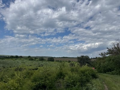 The image presents a rural landscape in Topchii, Bulgaria. A sky filled with cumulus clouds dominates the upper portion. Below, a rolling green field dotted with shrubs and trees stretches towards the horizon. A patch of cultivated land is visible in the middle distance. In the foreground, dense foliage and tall grass obscure a portion of the scene, suggesting an elevated vantage point. A hint of a red object is visible among the trees. No people or animals are visible in the image.