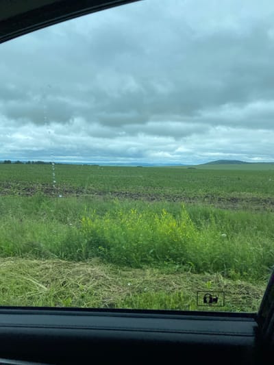 The image depicts a cloudy sky over a rural landscape. In the foreground, the edge of a car window is visible, with a car door's interior panel at the bottom. Through the window, a field of green grass and vegetation stretches into the distance, with a section of tilled earth in the middle ground. Beyond the field, a tree line and rolling hills can be seen under a dramatic, overcast sky. A small symbol, appearing to be a child lock icon, is present on the car window. The scene is likely from Kliuchiki, Russia, given the context.