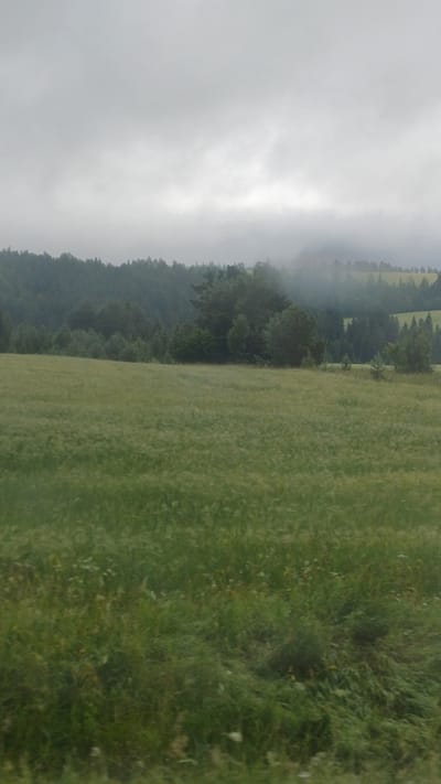 The image depicts a wide, grassy field in the foreground. In the middle ground, a dense forest of dark green trees forms a backdrop, with some lighter green foliage interspersed. The background features rolling hills covered in a lighter green, possibly cultivated fields, partially obscured by a thick layer of grey clouds that extend to the horizon. The overall atmosphere is subdued and overcast, suggesting a cool or rainy day. There are no people or visible structures in the image. The location is identified as Buranovo, Russia.