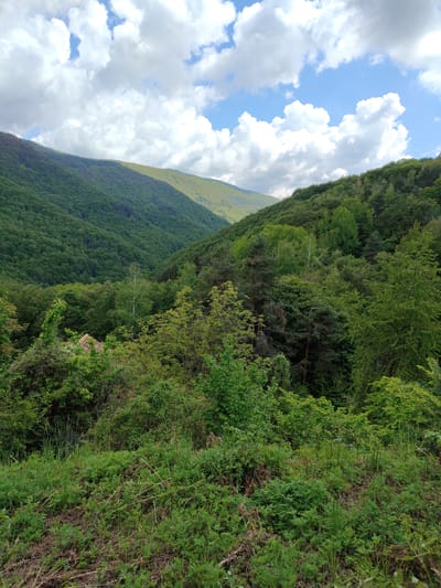 The image depicts a mountainous landscape with lush green vegetation. A valley is formed between two forested hills. The slopes are covered in dense trees. In the foreground, there's a view of grass and undergrowth. A glimpse of what appears to be a red-tiled roof of a building is partially obscured by the greenery. The sky is partly cloudy. The location is in or near Dedovo, Bulgaria.