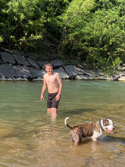 A young man with short brown hair, wearing black shorts, stands in shallow, murky green water, submerged up to his knees. He is smiling and looking slightly upwards. To his right, a brindle and white pit bull-type dog is also standing in the water, with its tongue out. The dog is looking upwards and to the right. The water appears to be a river or a lake, with a concrete embankment on the left side of the image, partially covered by green foliage and trees. The concrete is cracked and appears worn. The sun is shining, casting dappled light and shadows on the water and embankment, suggesting it is a sunny day, possibly late afternoon or early morning due to the warm lighting. The overall scene depicts a casual moment of recreation in a natural setting. The location is identified as Krasnoye, Russia. There is no visible text in the image.