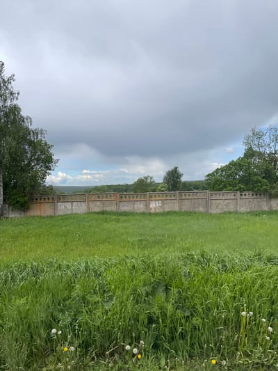 The image shows an outdoor scene in Петрово, Russia, featuring a concrete fence running parallel to a grassy area. The grass is lush, with some dandelion seed heads visible. On the other side of the fence, there are trees and a cloudy sky. A storm appears to be approaching.