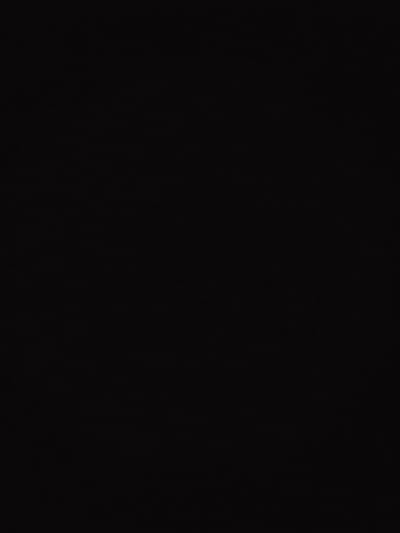 The image is a completely black frame, indicating a lack of visible content. There are no discernible subjects, objects, scenes, activities, or events taking place. No notable details such as time of day, weather, location cues, or emotions can be identified. Similarly, there is no visible text within the frame. The blackness suggests either a technical issue with image capture or a deliberate choice to present a blank or obscured visual.