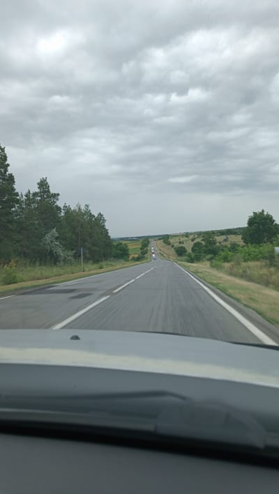 The image shows a view from inside a vehicle driving on a two-lane asphalt road under a cloudy sky. The road stretches into the distance, with white lines marking the lanes. To the left of the road, there are pine trees and green vegetation. To the right, the landscape consists of rolling hills covered in grass and scattered trees, with some agricultural fields visible further away. A line of vehicles, including trucks and cars, is traveling in the same direction on the road ahead. The weather appears overcast. There are no visible people in the immediate foreground. The scene is set in a rural or semi-rural area, consistent with the outskirts of a location like Bolțun, Moldova, characterized by open roads, vegetation, and agricultural land.