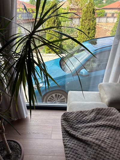 Indoor scene featuring a potted Dracaena plant in the foreground, partially obscuring a view through a window. The window shows a blue car parked outside, with glimpses of a residential area, possibly in Dolno Drianovo, Bulgaria, suggested by the architecture and foliage visible. To the right of the window, a light gray upholstered sofa is partially visible, with a textured gray blanket or throw draped over it. The floor is light brown wood laminate. The lighting suggests daylight. No people are visible.