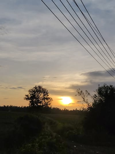 A photograph captures a sunset over a field in Cotentung, Indonesia. The sky is a mix of grays and yellows, with the sun as a bright, central focal point. Silhouetted trees and foliage dot the horizon. Power lines stretch across the upper right of the frame. The foreground features dark vegetation.