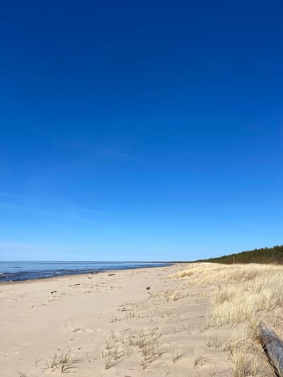 The image shows a beach in Lilaste, Latvia, with a clear blue sky occupying the left half of the frame. The right half displays the sandy shoreline, bordering the water's edge. There are patches of beach grass and a log on the right side. The image appears to be rotated 90 degrees clockwise. There are no people visible.