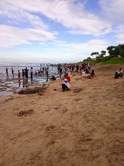 The image shows a beach scene with a large crowd of people. The beach is sandy and the water is calm and shallow. The water recedes to reveal a rocky shore. The people are scattered along the beach and in the water, some are standing, some are sitting, and some are wading in the shallows. There are many people in the distance, all the way to the horizon, which makes it difficult to tell what everyone is doing. The sky is blue and cloudy. The image was taken on the beach at Pameungpeuk, Indonesia, coordinates -7.668, 107.694. The image is taken at a low angle, looking towards the horizon. The beach is empty in the foreground, with only a few people in the middle ground. The background is dominated by the crowd of people, and the water is blue and calm. The sky is a light blue with white clouds.  The image gives the impression of a relaxing day at the beach.