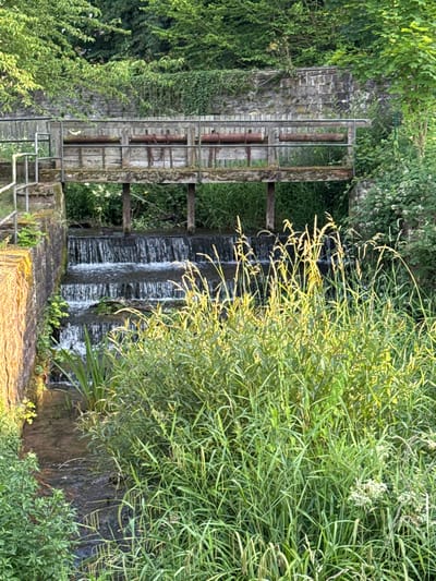 The media file depicts a small waterfall or weir structure situated amidst lush greenery. The scene appears to be outdoors, with abundant vegetation, including trees and tall grasses, framing the water feature. Sunlight illuminates the grasses, casting a warm glow.

The waterfall is constructed from stone and wood, with a series of stepped levels. A wooden structure, possibly part of a sluice gate or a walkway, is visible alongside the waterfall, featuring horizontal planks and vertical supports. Metal railings are also present, suggesting a man-made structure intended for access or safety. The water flows over the stones, creating a dynamic visual element.

The overall setting suggests a natural or semi-natural environment, perhaps a park, garden, or a more rural landscape. The time of day appears to be either early morning or late afternoon, judging by the quality of the light. The weather seems pleasant, conducive to outdoor enjoyment of the scenery. No people are visible in the frame, and there is no discernible text. The image evokes a sense of tranquility and natural beauty. The location context provided is Bevern, Germany, which aligns with the visual elements of a European landscape.