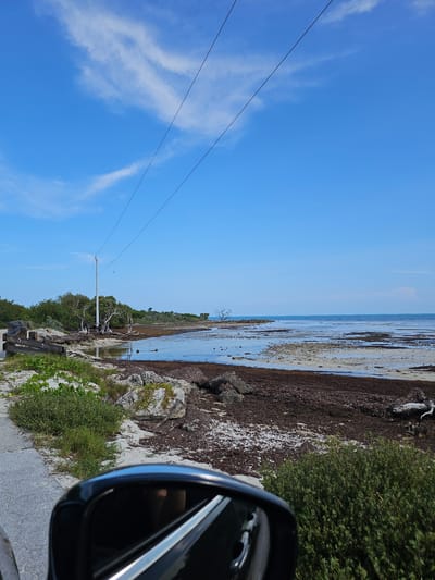 The photograph, likely taken from inside a vehicle, shows a coastal scene in Big Pine Key, United States. The sky is bright blue with scattered clouds. Power lines stretch across the left side of the frame. The shoreline is visible in the center, with exposed sand, seaweed, and rocks along the water's edge. Green vegetation grows along the coastline. Part of a car's side mirror is visible in the lower right corner, suggesting the photo was taken while driving.