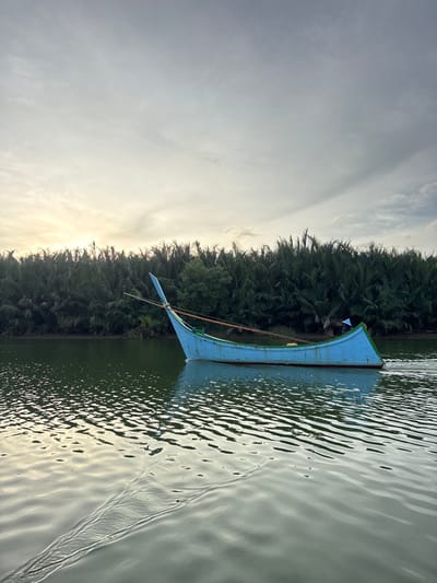 The image depicts a serene scene on a body of water, likely a river or estuary, bordering a dense wall of palm trees. The water exhibits gentle ripples that catch the subdued light of an overcast sky, creating a shimmering effect. A traditional wooden boat, painted a striking blue with green trim, glides through the water, leaving a subtle wake. The boat is long and narrow, with a distinctive pointed bow and a higher stern. Two wooden poles extend from the boat, suggesting it might be propelled by oars or poles. The background is dominated by a lush, dark green foliage of palm trees, interspersed with some visible tree trunks. A hint of sunlight can be seen breaking through the clouds on the left side of the frame, casting a soft glow. The location is identified as Deah Pangwa, Indonesia. There are no people visible in the image.