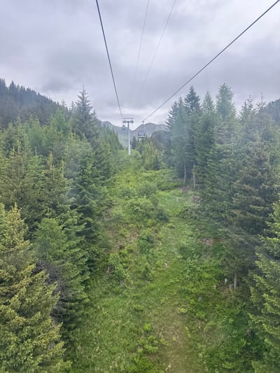 The image captures a view from a cable car ascending a forested mountain, likely in Hasliberg Reuti, Switzerland, given the presence of the cable car system typical of the region's ski resorts. The cable car itself is visible in the distance, moving upwards along a thick steel cable that stretches diagonally across the frame. Several cable car cabins are suspended from the cable.

The mountainside is densely covered in evergreen trees, primarily fir trees, which create a lush green carpet. The foliage is thick and varied in texture and shade of green. Patches of lighter green grass and smaller shrubs are interspersed throughout the forest, particularly on steeper inclines. The ground appears uneven and mountainous, with rocks and some exposed earth visible in certain areas.

The sky is overcast with a thick layer of grey clouds, suggesting a cool or possibly rainy day. In the distance, the peaks of other mountains are faintly visible through the haze, adding to the sense of elevation and remoteness. There are no people clearly visible in the frame, and the focus is entirely on the natural landscape and the man-made cable car infrastructure. The overall impression is one of a natural, mountainous environment being accessed by modern transportation.