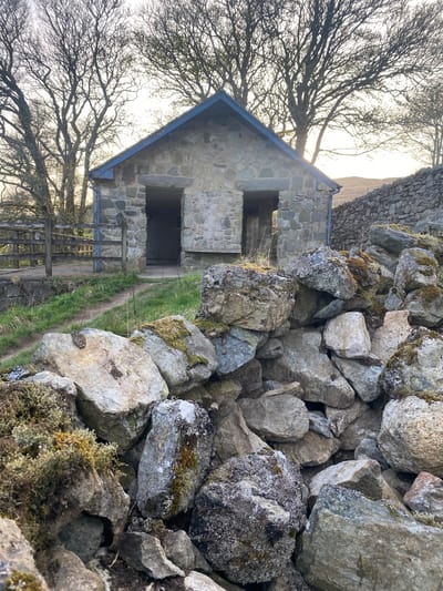 The image shows a small stone building with a blue-trimmed roof, located near a pile of rocks and a stone wall. The building has two open window spaces and an open doorway. A wooden gate and a grassy path are visible in front of the building. Bare trees are present in the background. The rocks are covered in moss.
The location is Bala, United Kingdom.