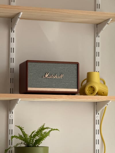 A close-up shot showcases a Marshall speaker nestled on a shelf, positioned beside a yellow power adapter. To the right, a green potted fern adds a touch of nature. The shelf itself is a functional structure made of light wood verticals with white brackets attaching it to a wall. The brackets and wall have evenly spaced parallel grooves for bracket adjustments.