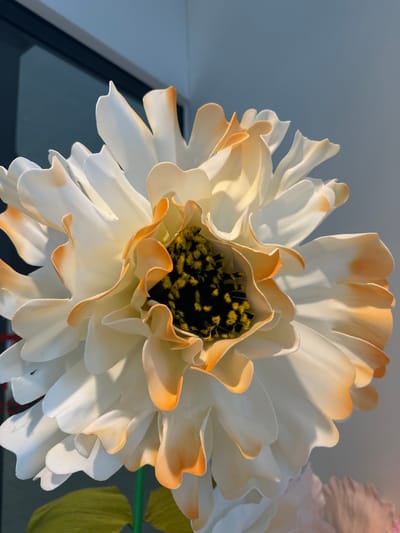 This media file is a close-up, low-angle shot of a large, artificial white and orange flower, possibly a peony or dahlia, set against a soft blue and grey background. The flower's petals are layered and ruffled, with the edges transitioning from white to a warm, golden orange hue. The center of the flower is dark with numerous bright yellow stamen.

The lighting suggests it is daytime, possibly late afternoon or early morning due to the soft, warm light casting subtle shadows on the petals. The background appears to be an outdoor setting, with a hint of a window frame or railing visible on the left, and a blurred green leaf element on the right, suggesting it might be part of a larger floral arrangement or decoration. There is a soft, diffused light that illuminates the flower, creating a gentle and serene atmosphere.

The focus is sharply on the flower, with the background softly blurred, emphasizing the intricate details of the petals and the vibrant stamen. No people are visible in the image. The overall impression is one of delicate beauty and artificial floral artistry. There is no visible text in the media file. Given the location context of Slitu, Norway, the setting could be a garden, a home interior with a view of the outdoors, or a decorative installation in a public space.