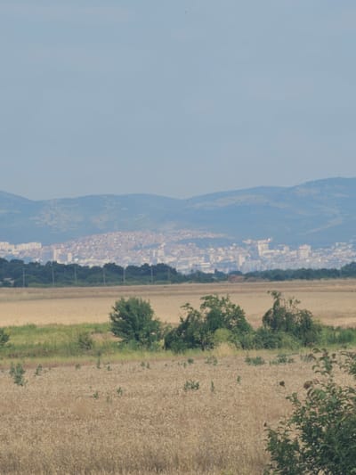 The image displays a panoramic view of a city, likely Bozduganovo, Bulgaria, nestled between rolling hills and agricultural fields. In the foreground, a vast expanse of golden wheat fields dominates the landscape, punctuated by scattered green trees and bushes. Beyond the fields, a dense line of dark green trees forms a natural barrier, separating the agricultural land from the urban sprawl. The city itself is characterized by a dense collection of buildings, ranging from low-rise structures to taller, more modern apartment blocks, spread across a hillside. The distant hills, covered in a muted green hue, provide a natural backdrop to the urban environment, their contours softened by atmospheric haze. The sky above is a pale, clear blue, with no significant cloud cover. The overall impression is one of a rural landscape meeting an urban center, under a serene, hazy sky.